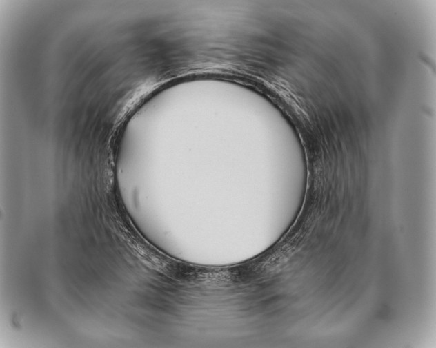 X0000096141363200802081338
