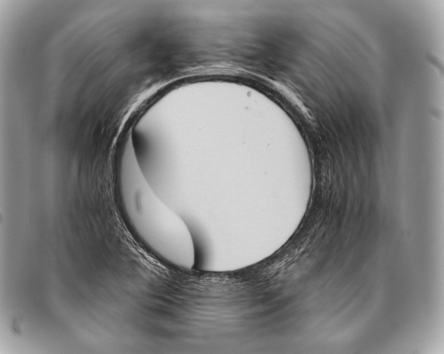X0000096141364200802081338