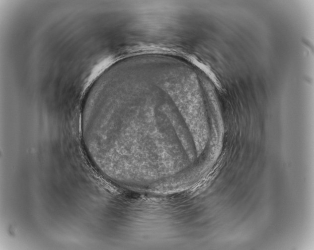 X0000096141365200802081338