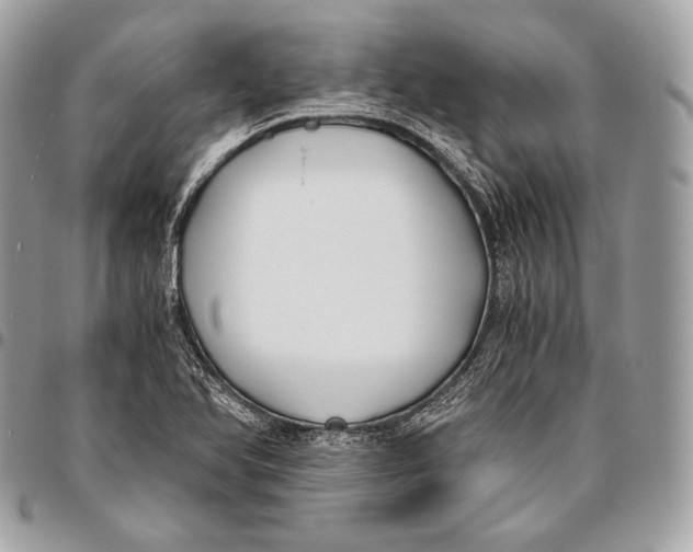 X0000096141366200802081338
