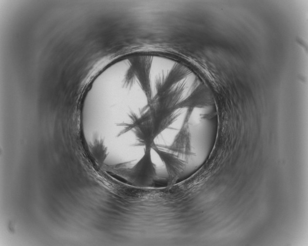 X0000096141367200802081338