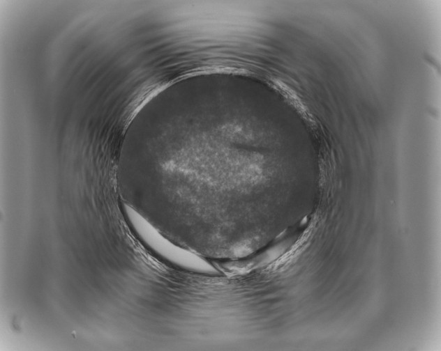 X0000096141369200802081338