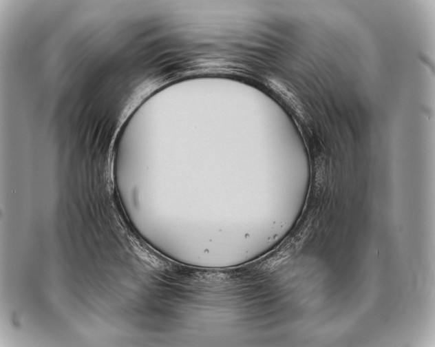 X0000096141370200802081338