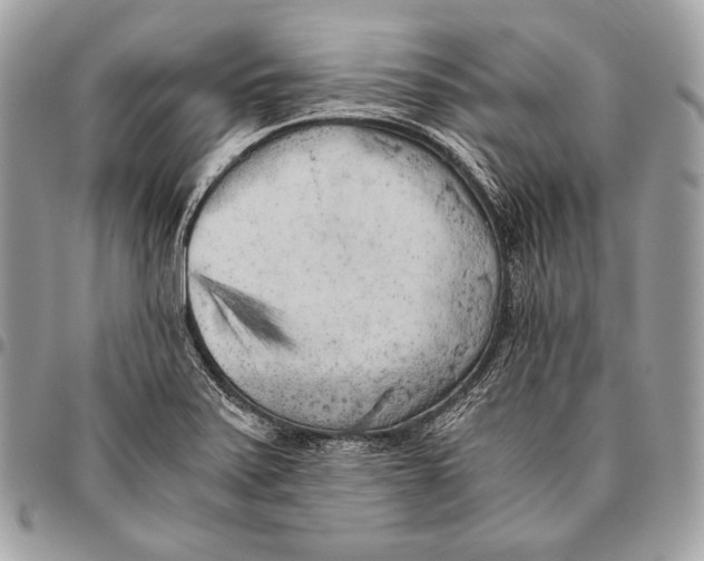 X0000096141371200802081338