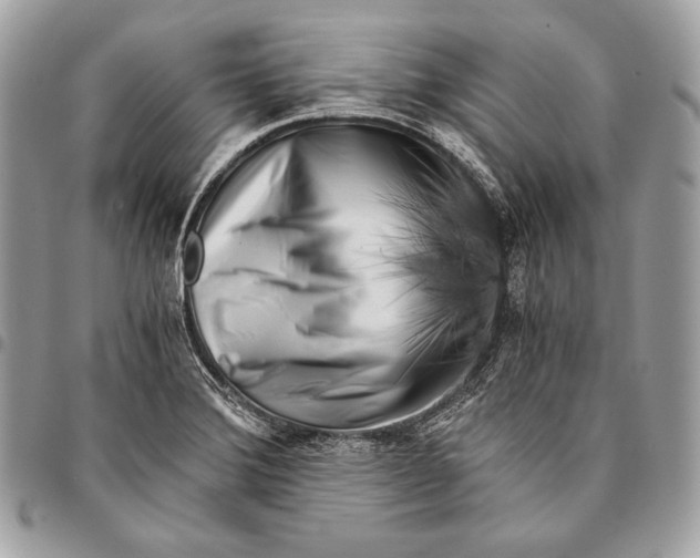 X0000096141372200802081338