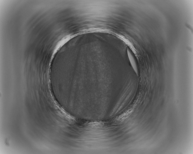 X0000096141373200802081338