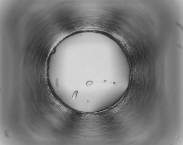 X0000096141374200802081338