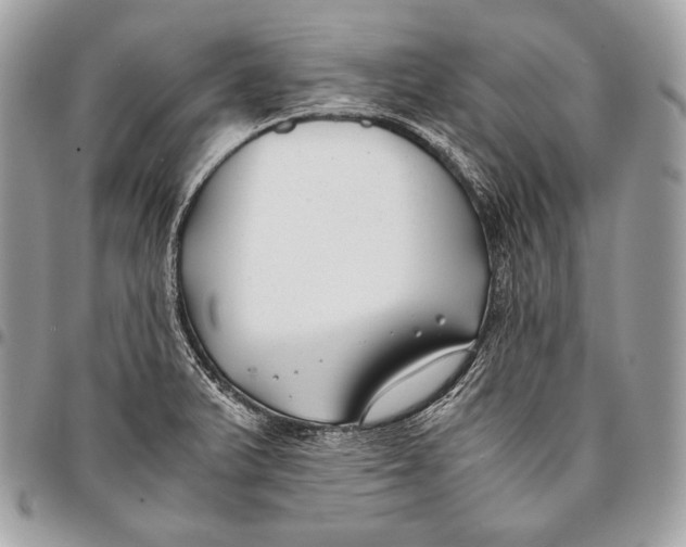 X0000096141375200802081338