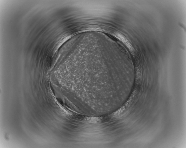 X0000096141377200802081338