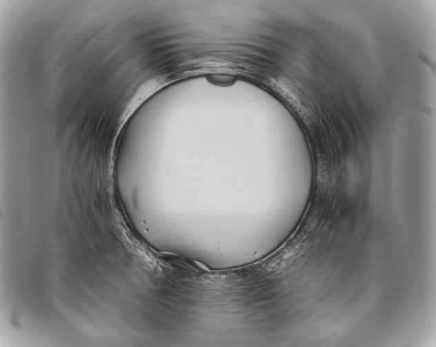 X0000096141378200802081338