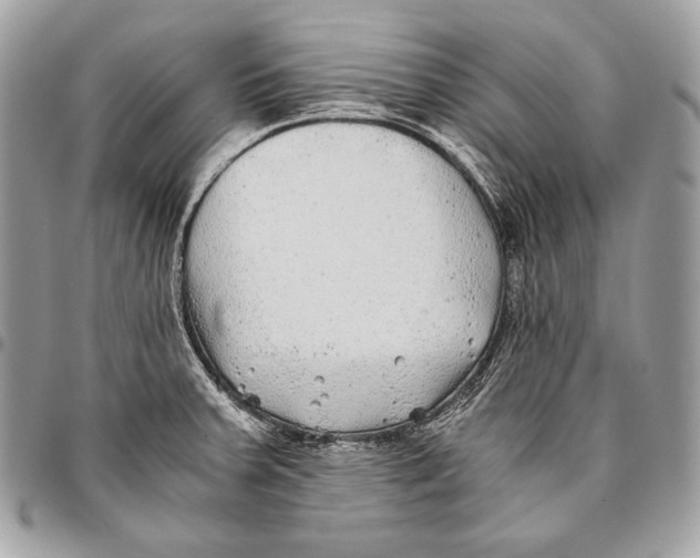 X0000096141379200802081338
