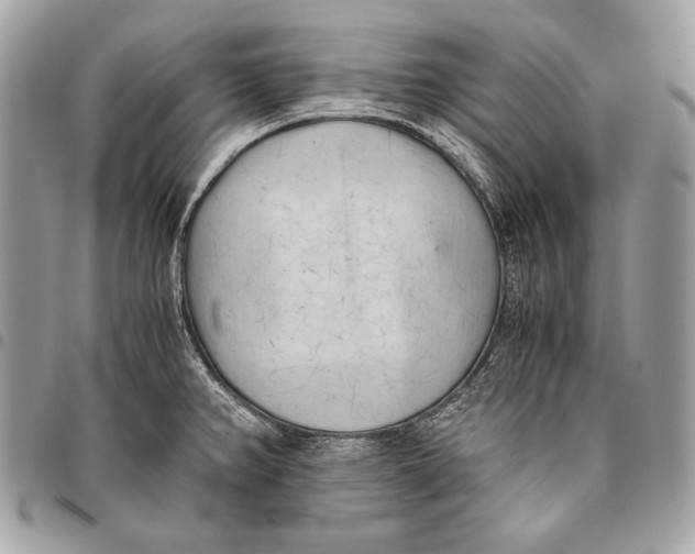 X0000096141382200802081338