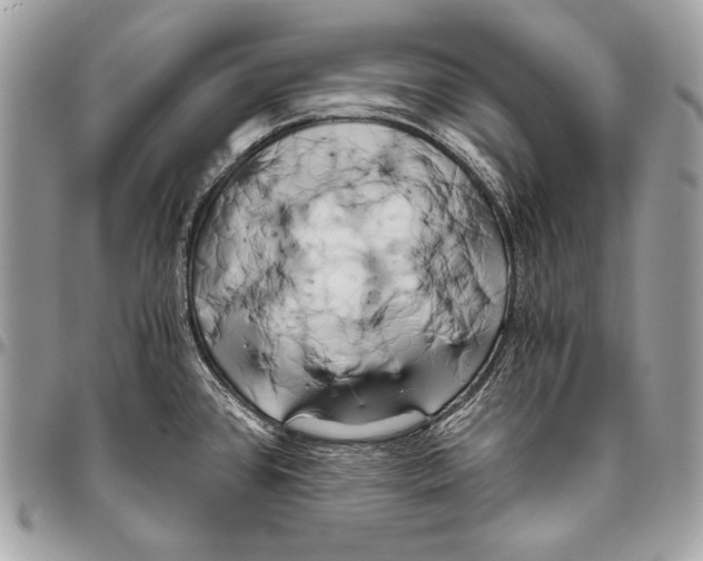 X0000096141384200802081338
