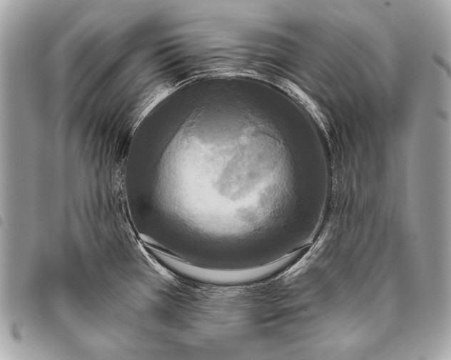 X0000096141385200802081338