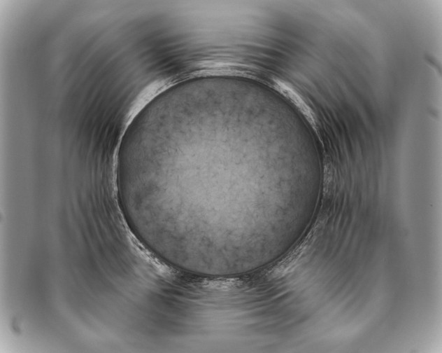 X0000096141386200802081338