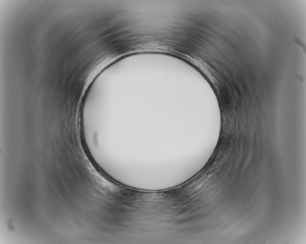 X0000096141387200802081338