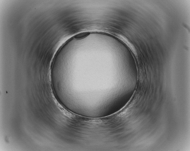 X0000096141388200802081338