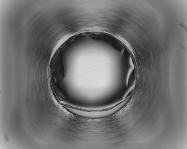 X0000096141389200802081338