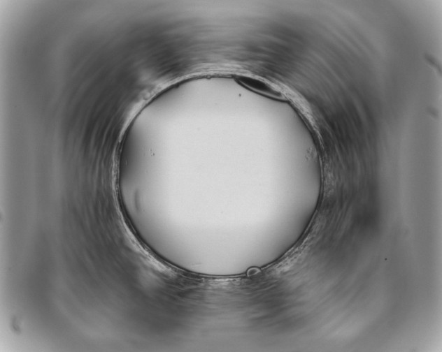 X0000096141390200802081338