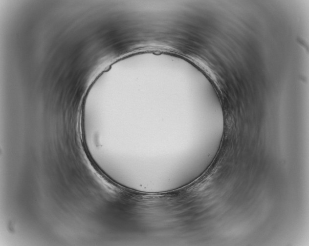X0000096141391200802081338