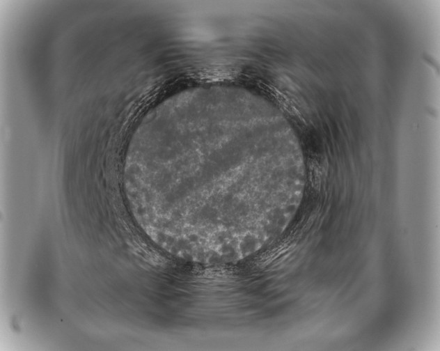X0000096141393200802081337