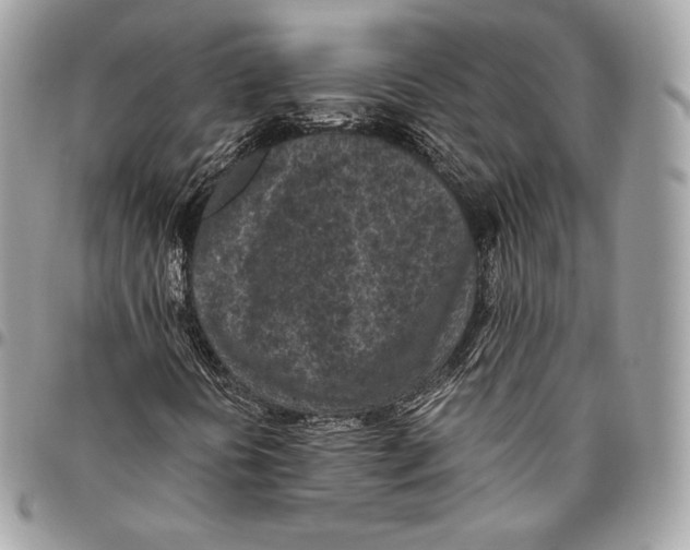 X0000096141394200802081337