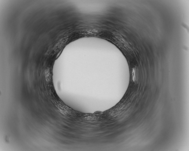 X0000096141395200802081337