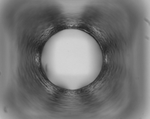 X0000096141396200802081337