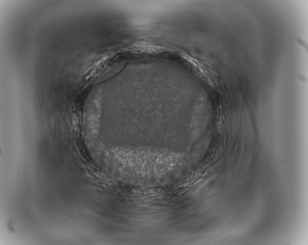 X0000096141397200802081337