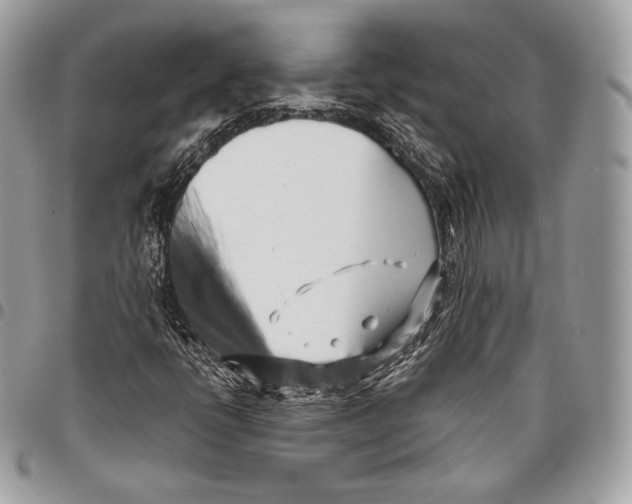 X0000096141398200802081337