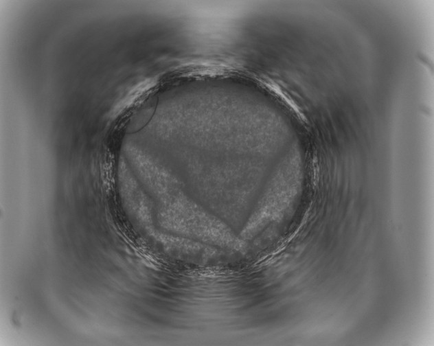 X0000096141399200802081337