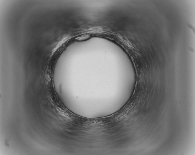 X0000096141400200802081337