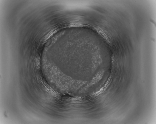X0000096141401200802081337
