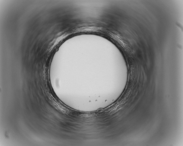 X0000096141404200802081337