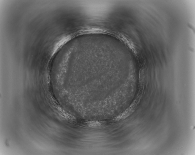 X0000096141405200802081337