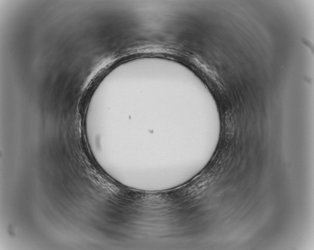 X0000096141408200802081337