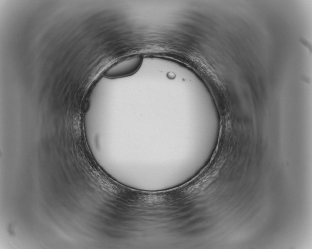 X0000096141409200802081337