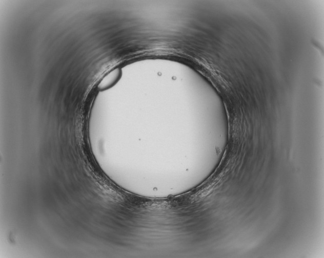 X0000096141410200802081337