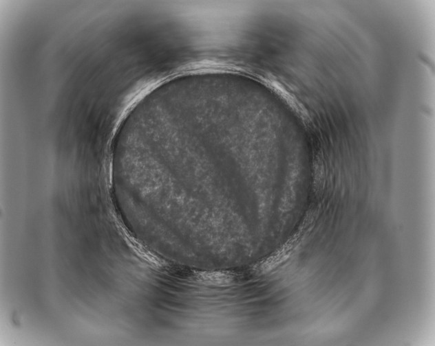 X0000096141413200802081337