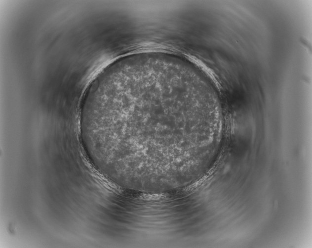 X0000096141415200802081337