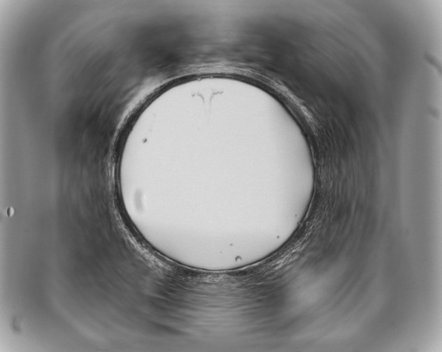 X0000096141416200802081337
