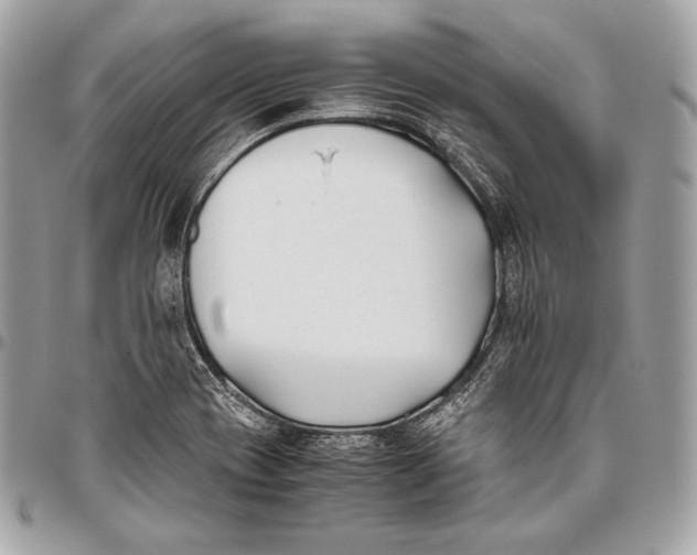 X0000096141417200802081338