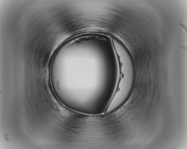 X0000096141418200802081338
