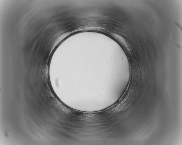 X0000096141420200802081338