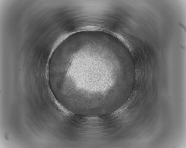X0000096141421200802081338
