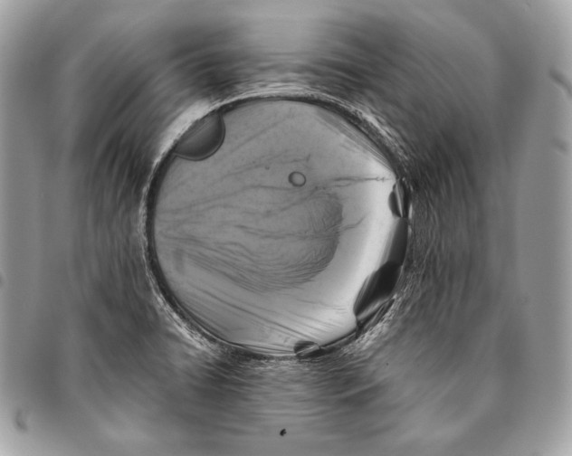 X0000096141422200802081338