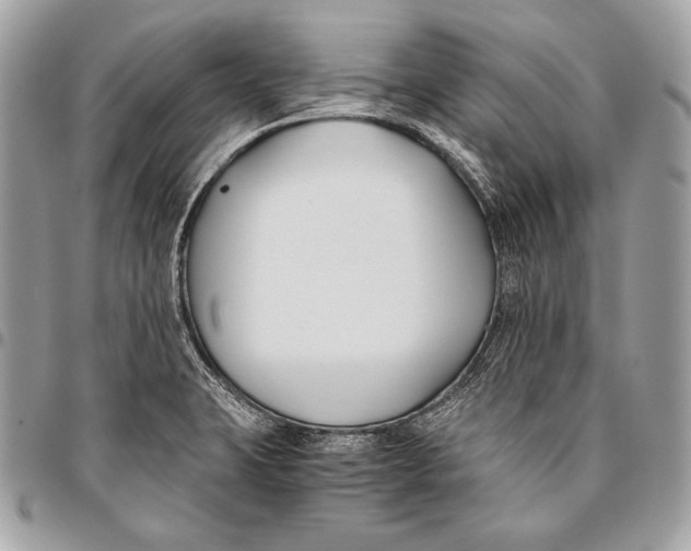 X0000096141423200802081338