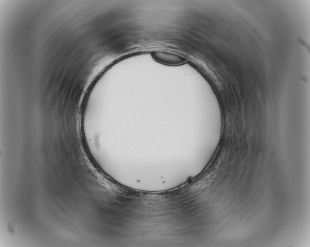 X0000096141424200802081338