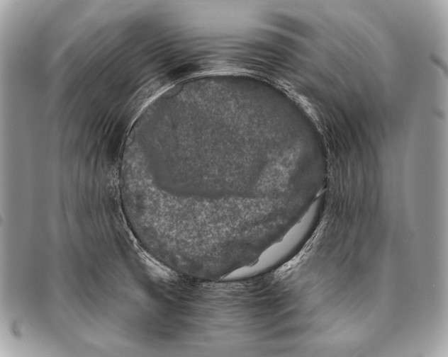 X0000096141425200802081338