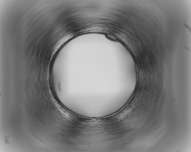 X0000096141426200802081338